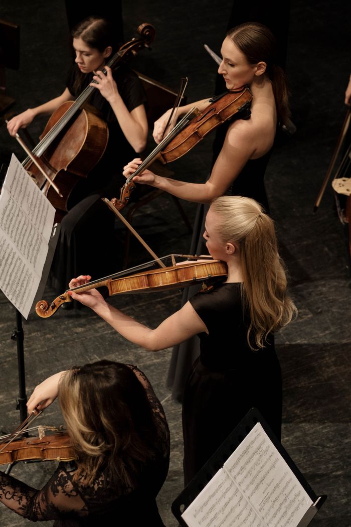 Top view of female musicians playing string instruments in a classical orchestra.